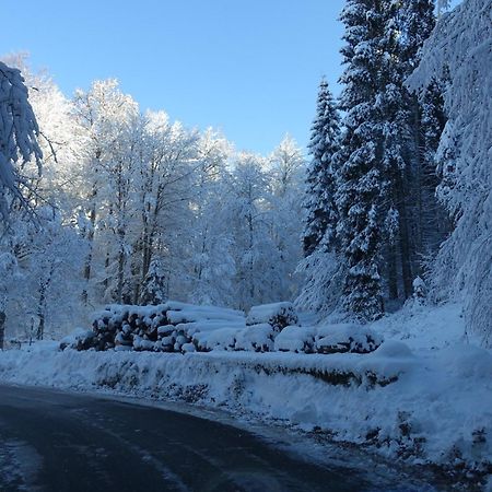 Appartamento Casa Alpago Spert Esterno foto