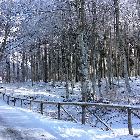 Appartamento Casa Alpago Spert Esterno foto