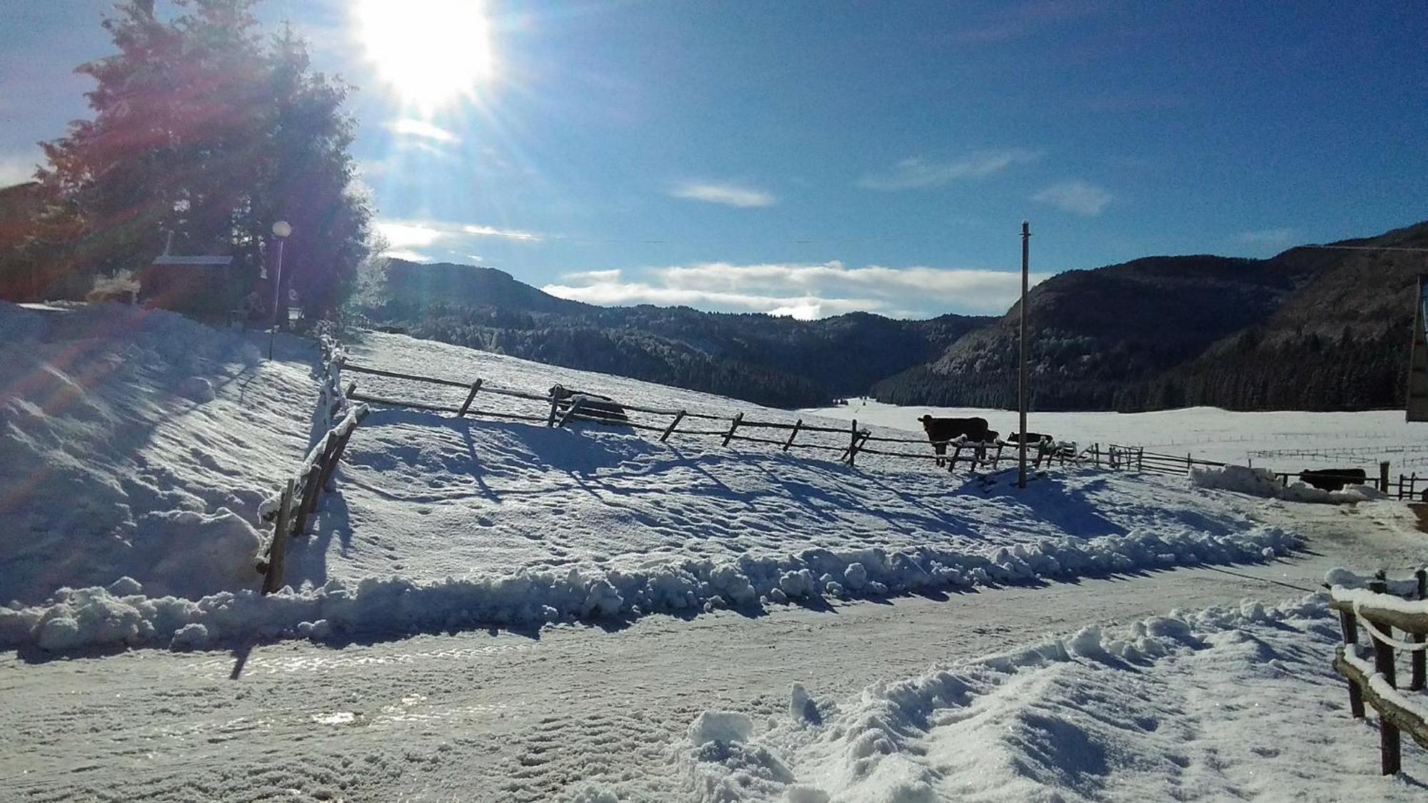 Appartamento Casa Alpago Spert Esterno foto